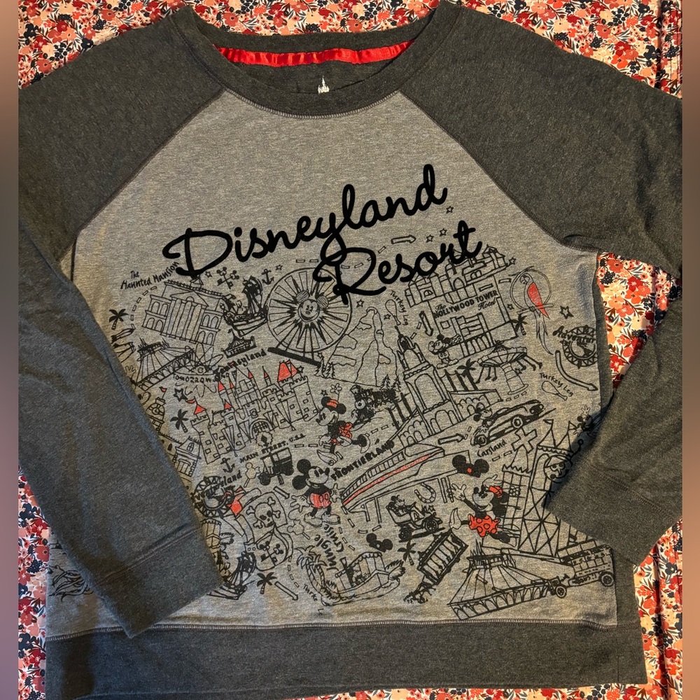 Disney Gray Raglan Sweatshirt with Vintage Design